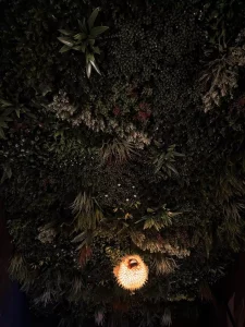 Callisto - Shrubbery