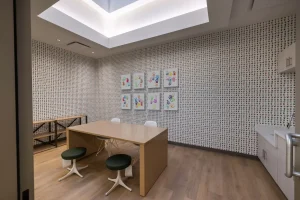 Children's Safety Center - Consultation Room